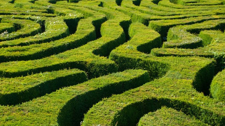 Narrative Ecologies: A Living Landscape Between Hyper and Deep Attention?